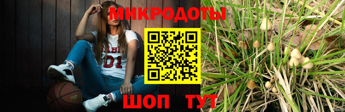 Псилоцибиновые грибы GOLDEN TEACHER Рассказово